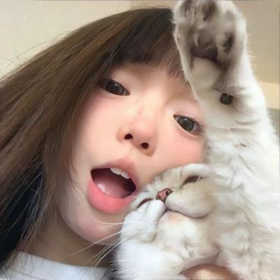如翼之舟