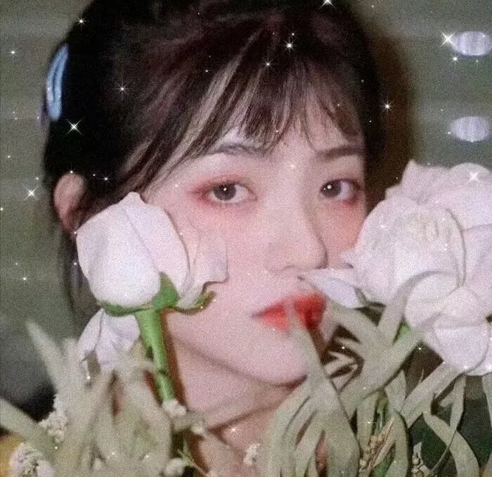 我的小情人1974