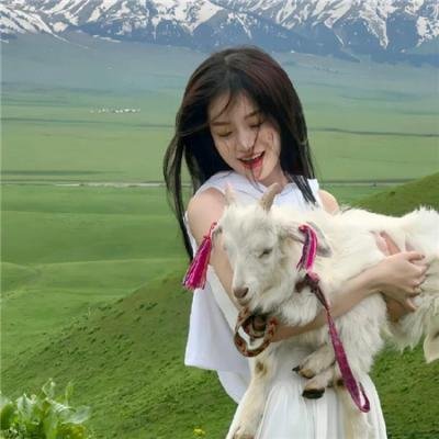 犹太狮子